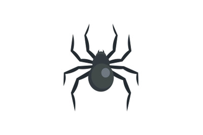 Black widow spider icon, flat style