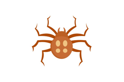 Garden spider icon, flat style