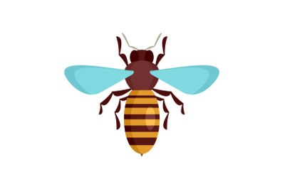 Bee insect icon, flat style