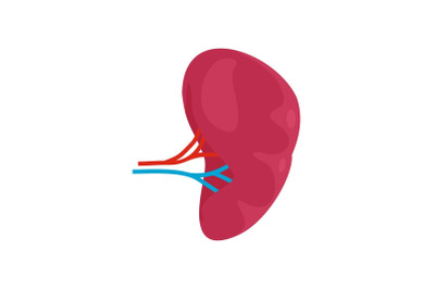 Health kidney icon, flat style