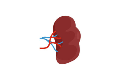 Brown kidney icon, flat style