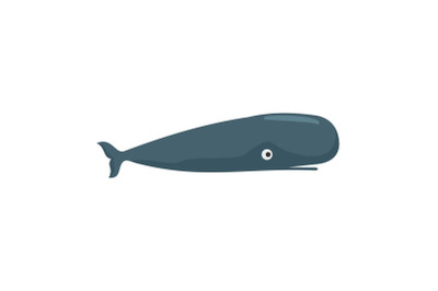 Whale icon, flat style