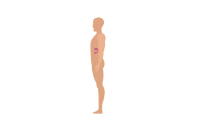 Side view spleen human body icon, flat style