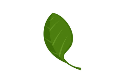 Spinach leaf icon, flat style