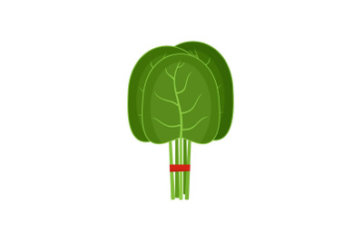 Group of spinach leaves icon, flat style