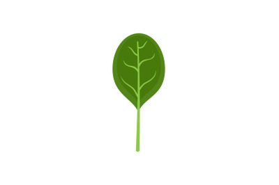 Spinach leave with shadow icon, flat style