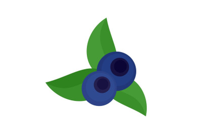 Eco blueberry icon, flat style