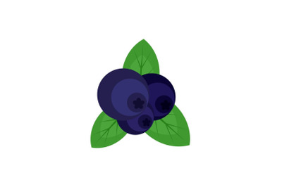 Fresh blueberry icon, flat style