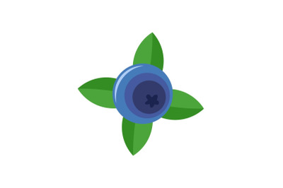 Blueberry with shadow icon, flat style