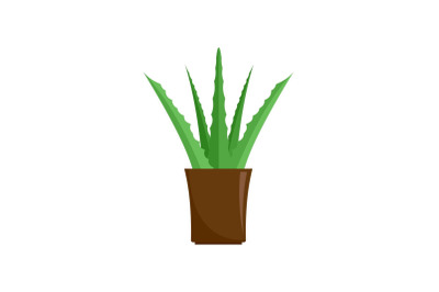 Aloe plant icon, flat style