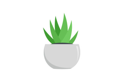 Aloe in white pot icon, flat style