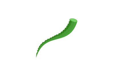 Piece of aloe icon, flat style