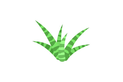 White green aloe icon, flat style