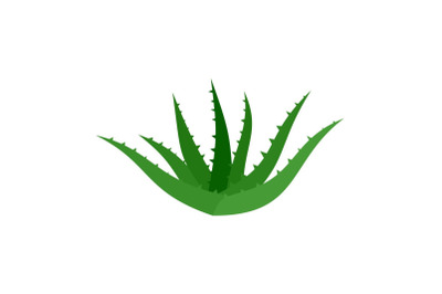 Aloe vera icon, flat style