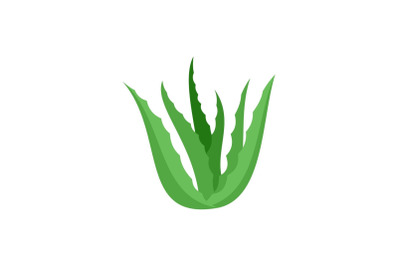 Green aloe vera icon, flat style