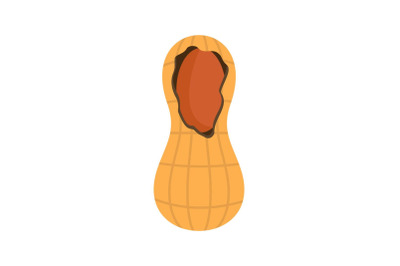 Crack peanut icon, flat style