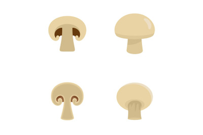 Champignon mushroom icons set, flat style