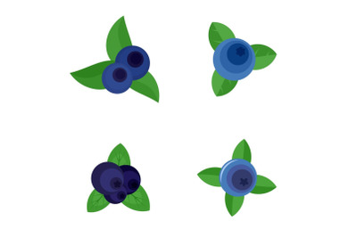 Blueberry sweet fruit icons set flat style
