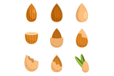 Almond walnut oil seed icons set flat style