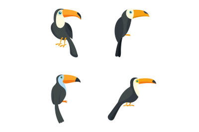 Toucan parrot bird icons set, flat style
