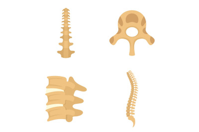 Spine orthopedic vertebra icons set, flat style