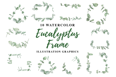 10 Watercolor Eucalyptus Frame Illustration Graphics
