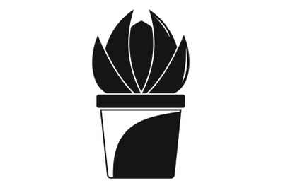 House cactus pot icon, simple style