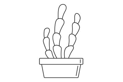 Suculent cactus pot icon, outline style