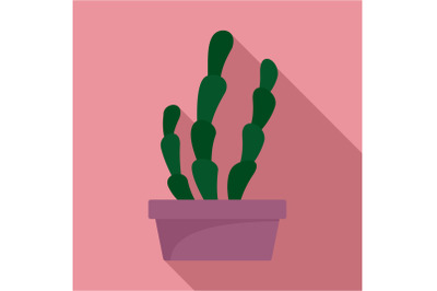 Suculent cactus pot icon, flat style