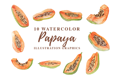 10 Watercolor Papaya Illustration Graphics