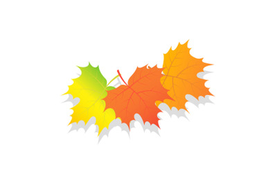 Set of autumn leaves icon, isometric style