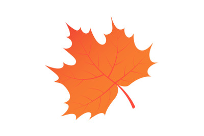 Brown autumn tree leaf icon, isometric style