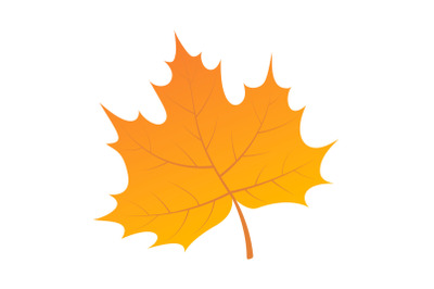 Yellow leaf of tree icon, isometric style