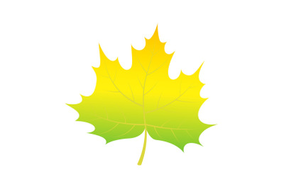 Green leaf of tree icon, isometric style