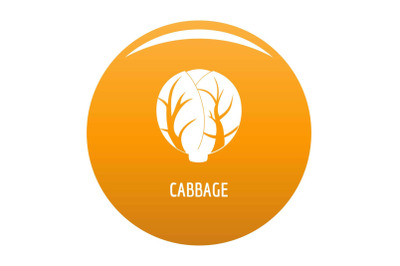 Cabbage icon vector orange