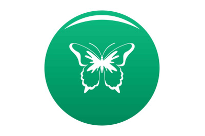 Insect butterfly icon vector green