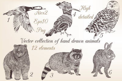 Set of engraved animals