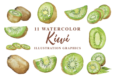 11 Watercolor Kiwi Illustration Graphics