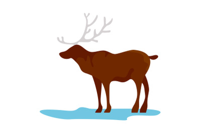Alaska deer icon, flat style