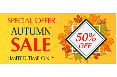 Limited time only autumn sale banner horizontal, cartoon style