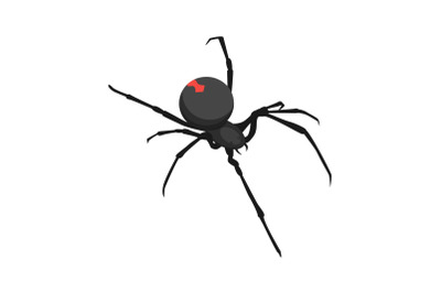 Spider icon, isometric style