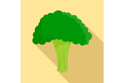 Salad broccoli icon, flat style