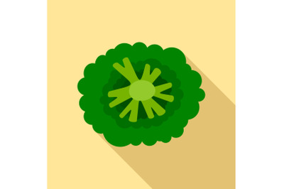 Top view broccoli icon, flat style