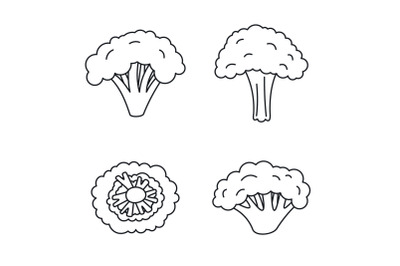 Broccoli plant icon set, outline style