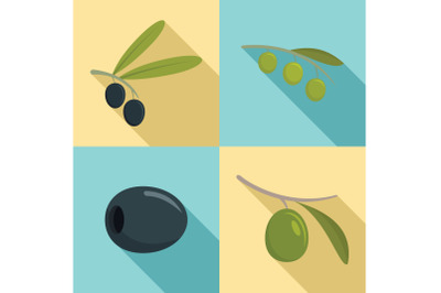 Festival olives oil icon set, flat style
