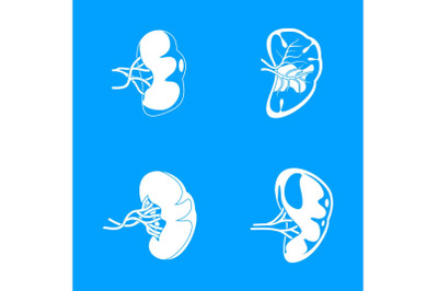 Spleen milt anatomy icons set, simple style