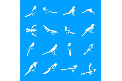 Magpie crow bird icons set, simple style