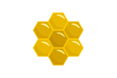 Honey comb of bee icon, flat style