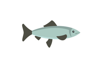 Fresh fish from sea icon, flat style