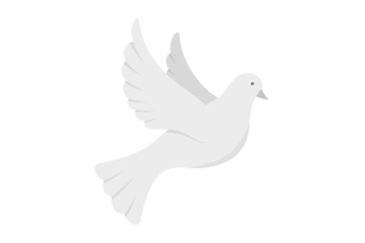 White pigeon of peace icon, flat style